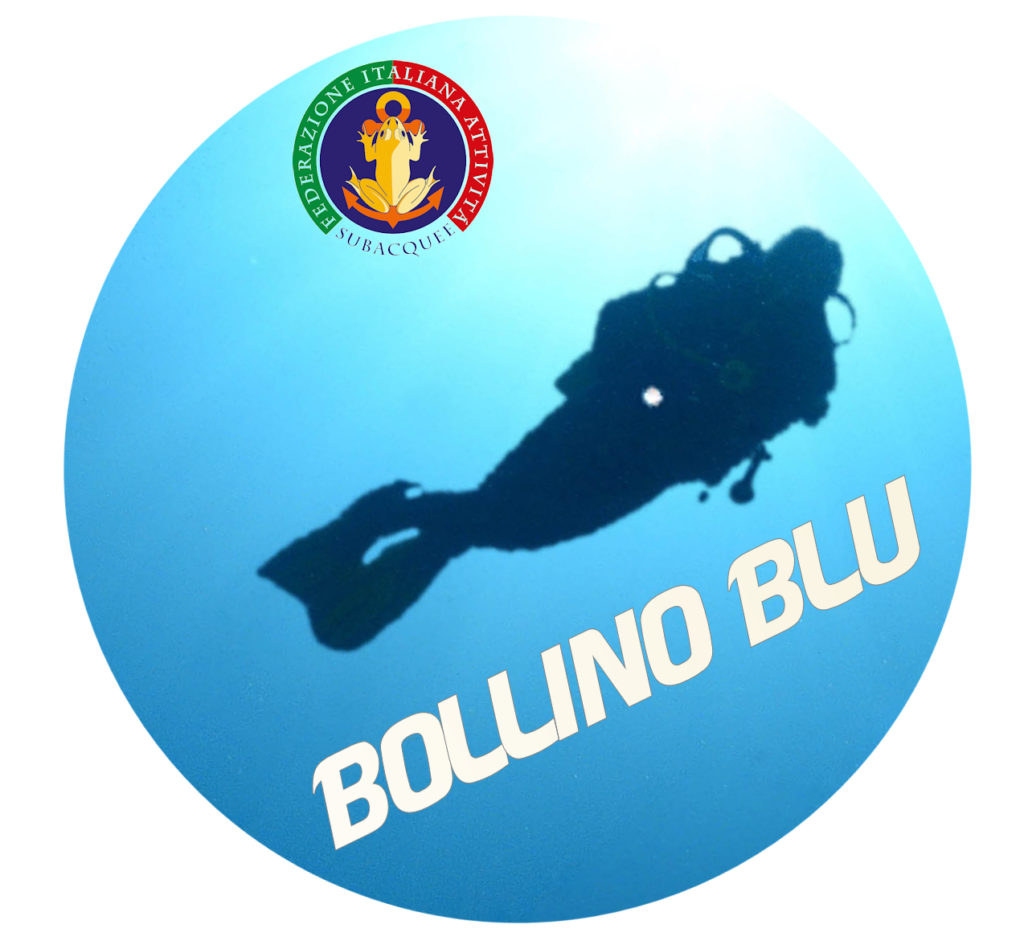 bollinoblu1